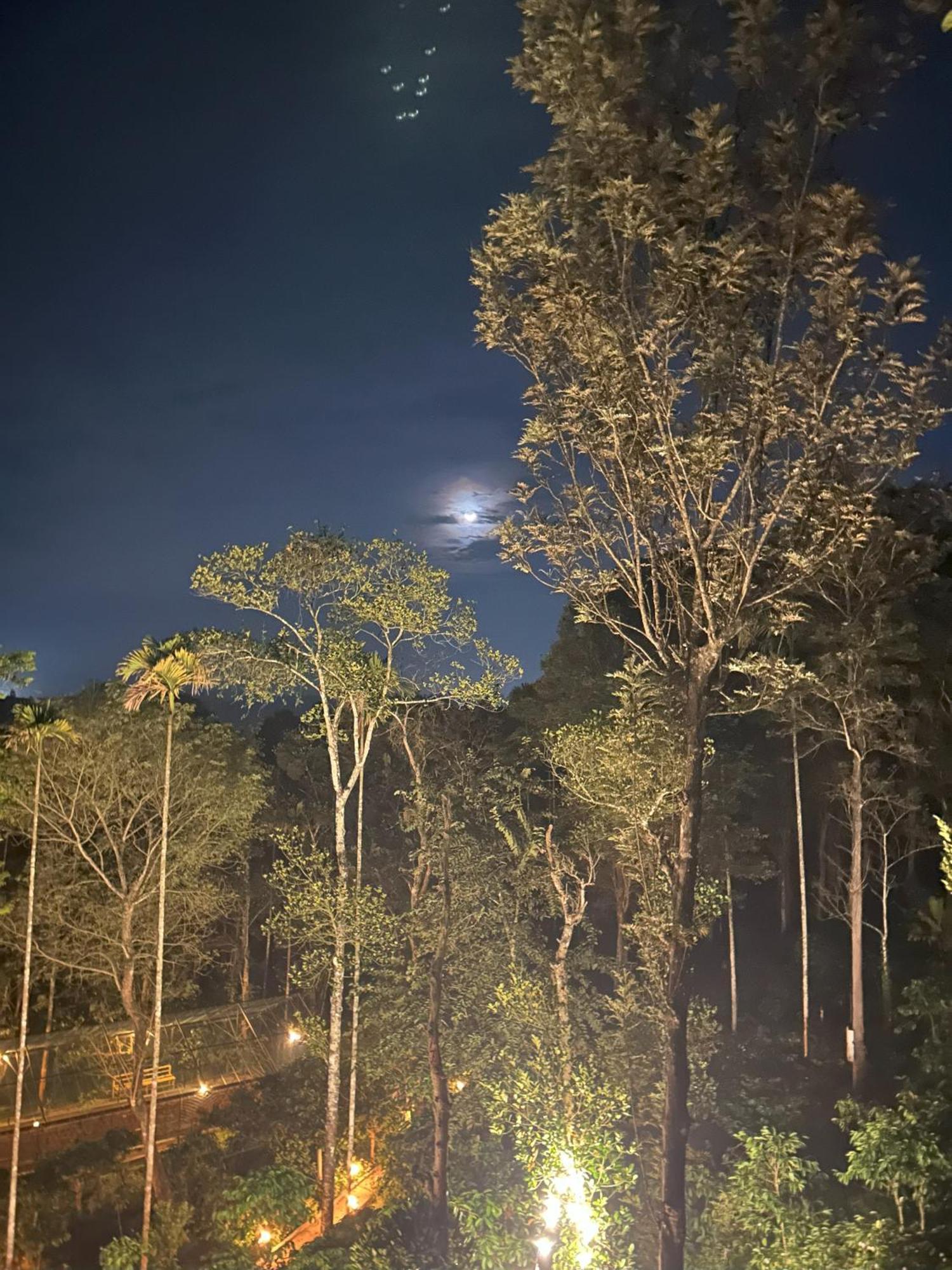 Sylvan Resort Wayanad Exteriör bild