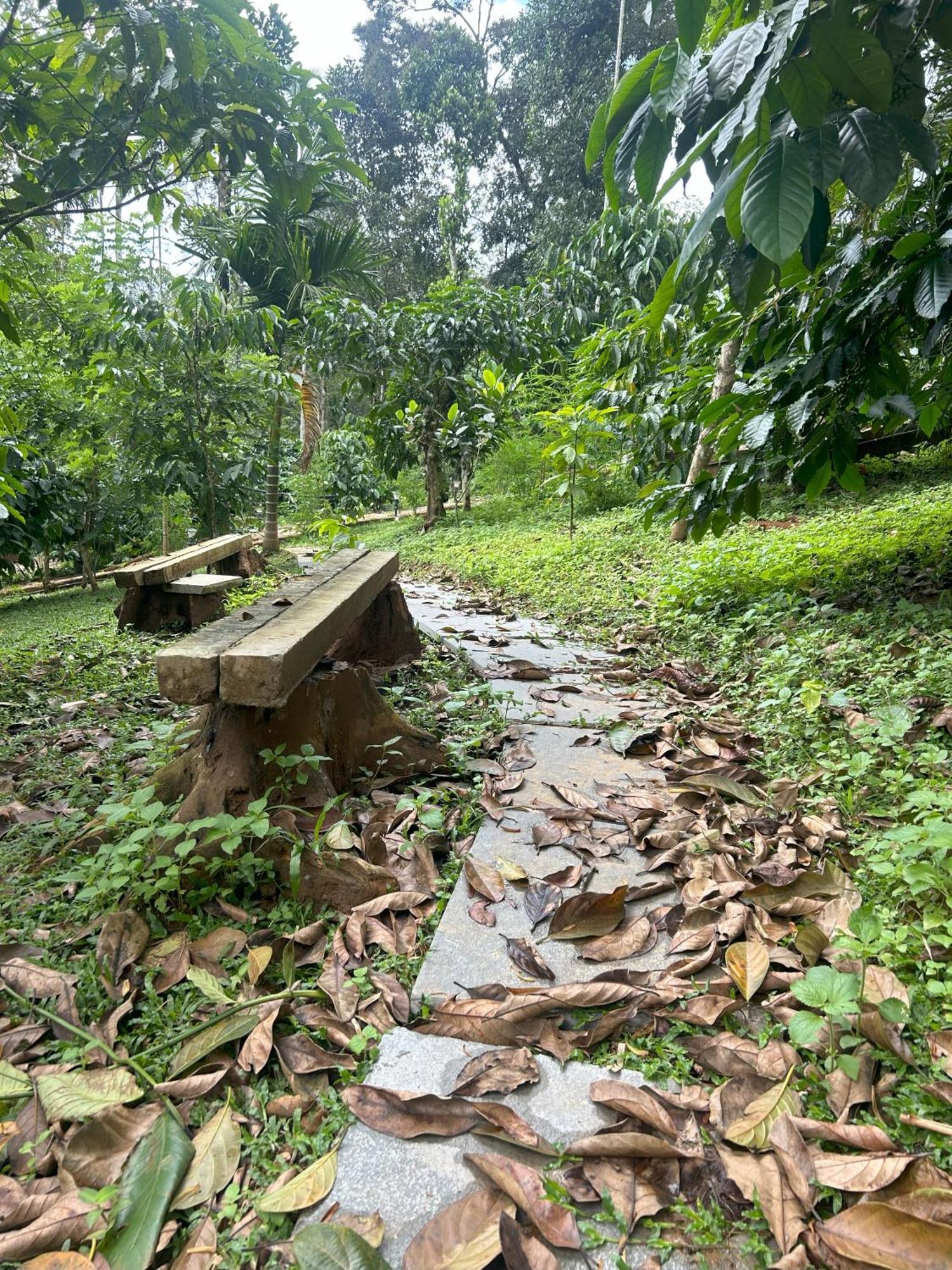 Sylvan Resort Wayanad Exteriör bild