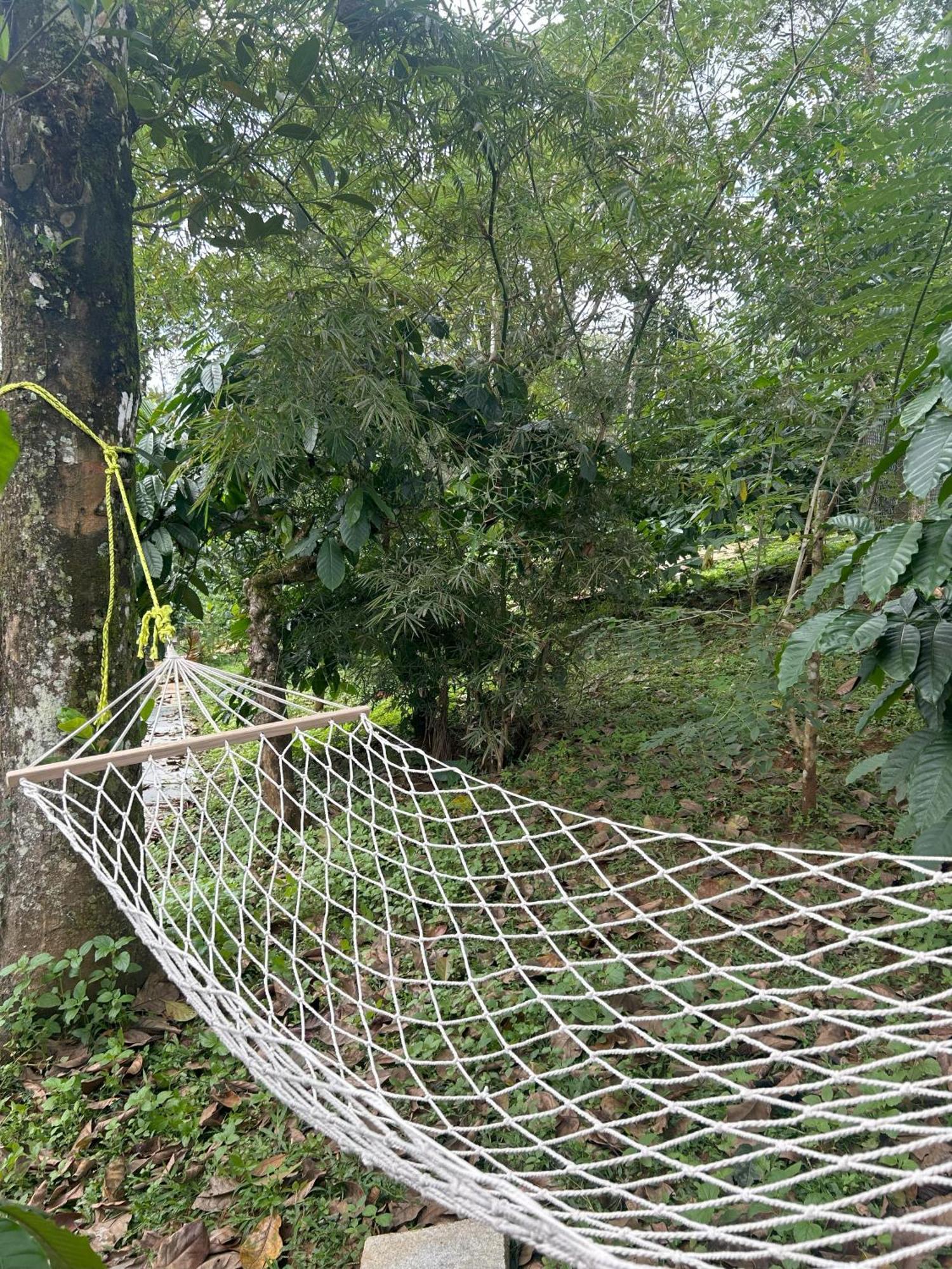 Sylvan Resort Wayanad Exteriör bild