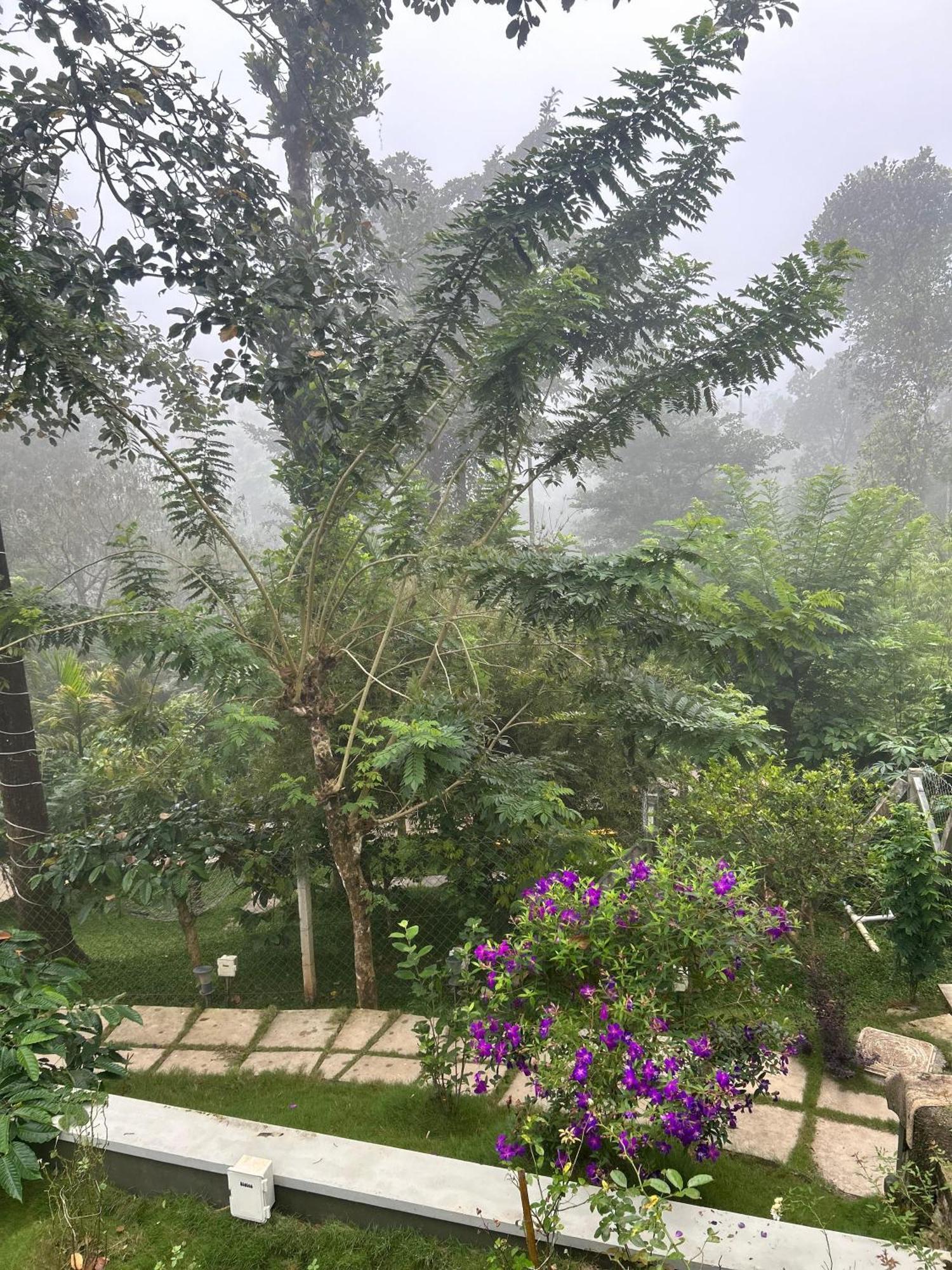 Sylvan Resort Wayanad Exteriör bild